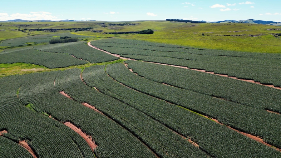 0 Bedroom Property for Sale in Maclear Rural Eastern Cape